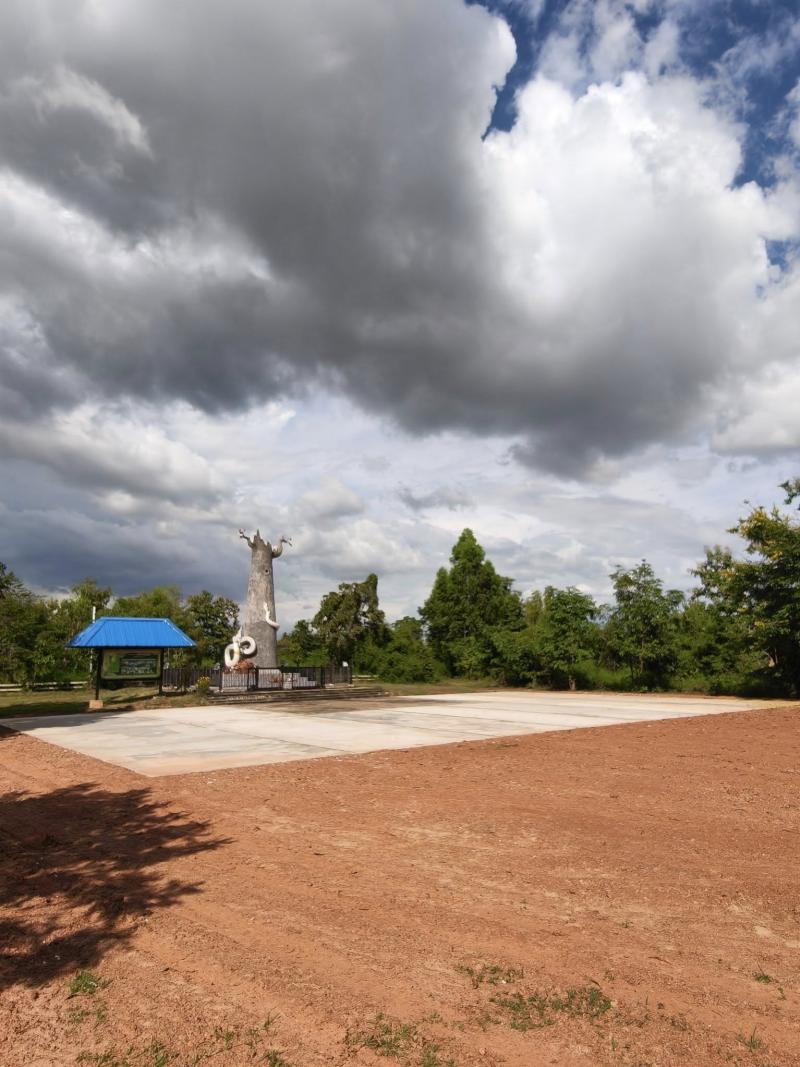 พื้นที่ลานกิจกรรม ณ บริเวณสวนสาธารณะเฉลิมพระเกียรติฯ (วังต้นยางใหญ่) เพื่อรองรับการจัดงานบวงสรวงเจ้าปู่เทพวิฬูปักษ์และเจ้าปู่ภังคีนาคราช
